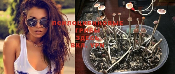 твердый Балабаново